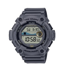 Reloj CASIO WS-1300H-8A Original